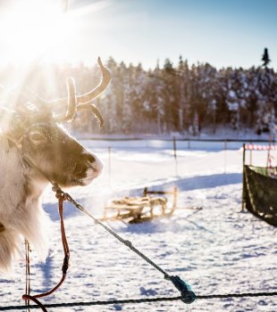 Wintermarkt in Jokkmokk, Fotograf Carl-Johan Utsi