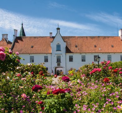 Der Rosengarten ist einer der schönsten Orte auf dem gesamten Areal.